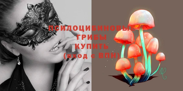PSILOCYBIN Арсеньев