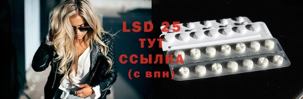 стафф Аркадак