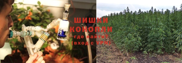 PSILOCYBIN Арсеньев