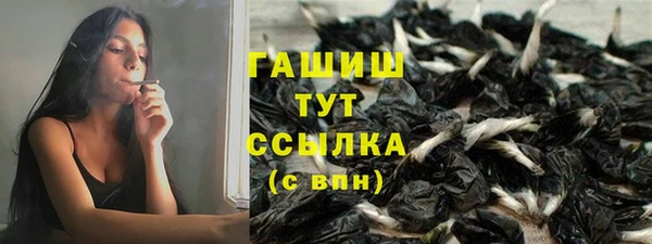 стафф Аркадак